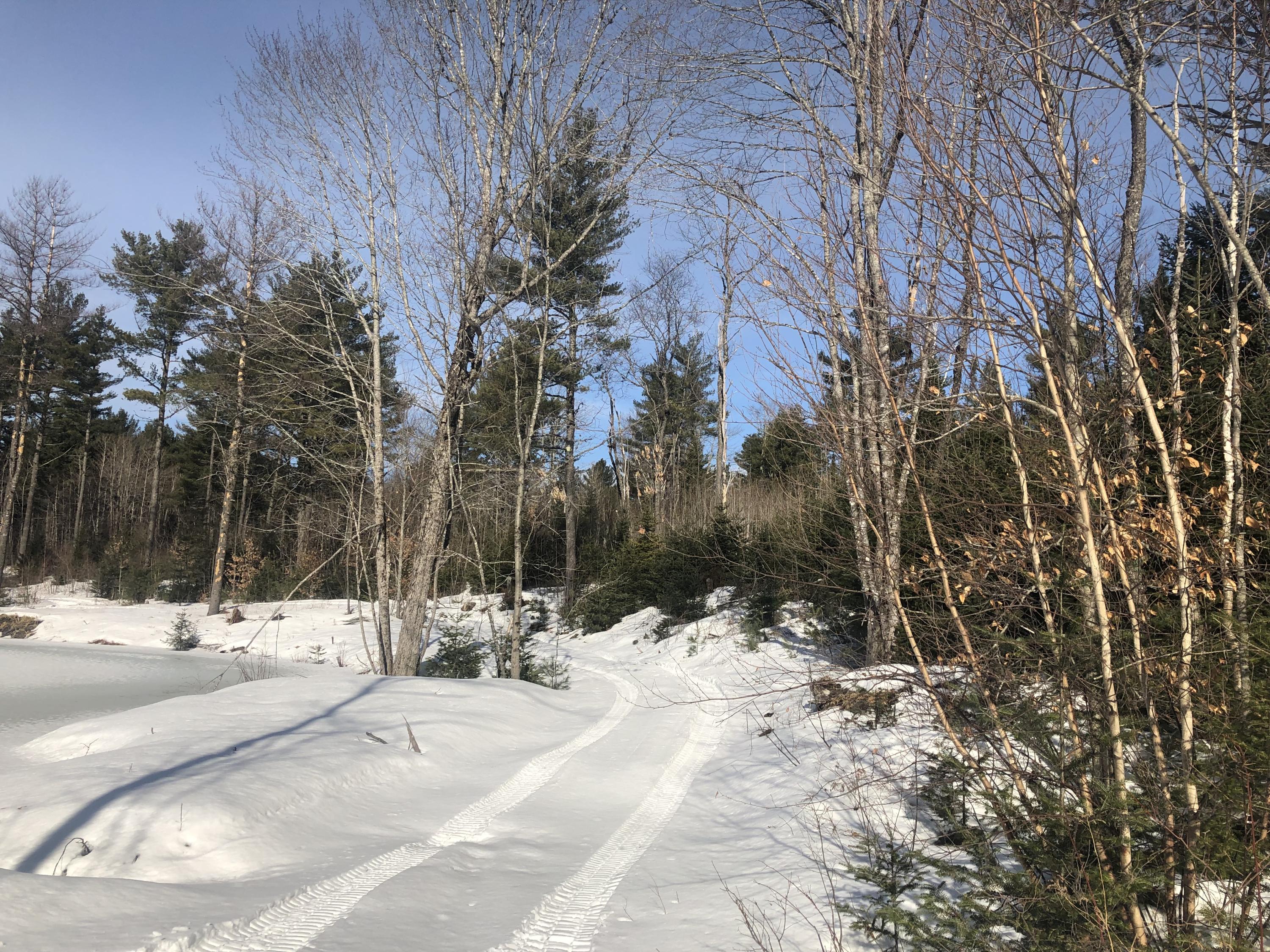210 A Goulds Ridge Road Passadumkeag, ME 04475 - Photo 35 of 38 Pond Trail