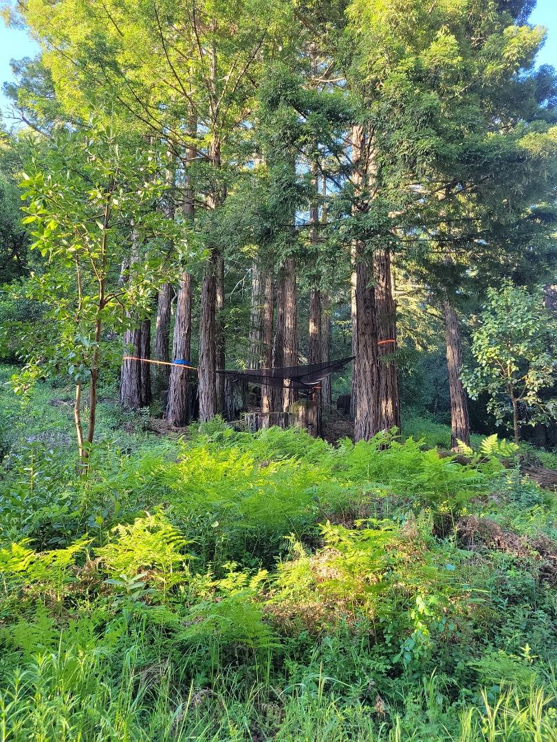 Lot 58 Skyview Ridge Road Boulder Creek, CA 95006 - Photo 33 of 52 a backyard of a house with lots of green space