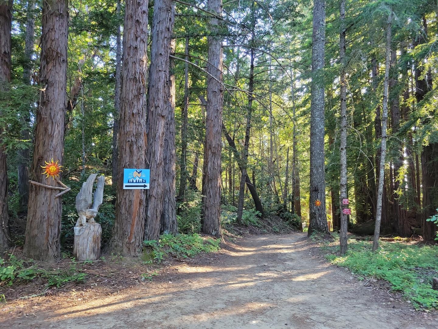 Lot 58 Skyview Ridge Road Boulder Creek, CA 95006 - Photo 35 of 52 a view of a park that has large trees and a wooden fence