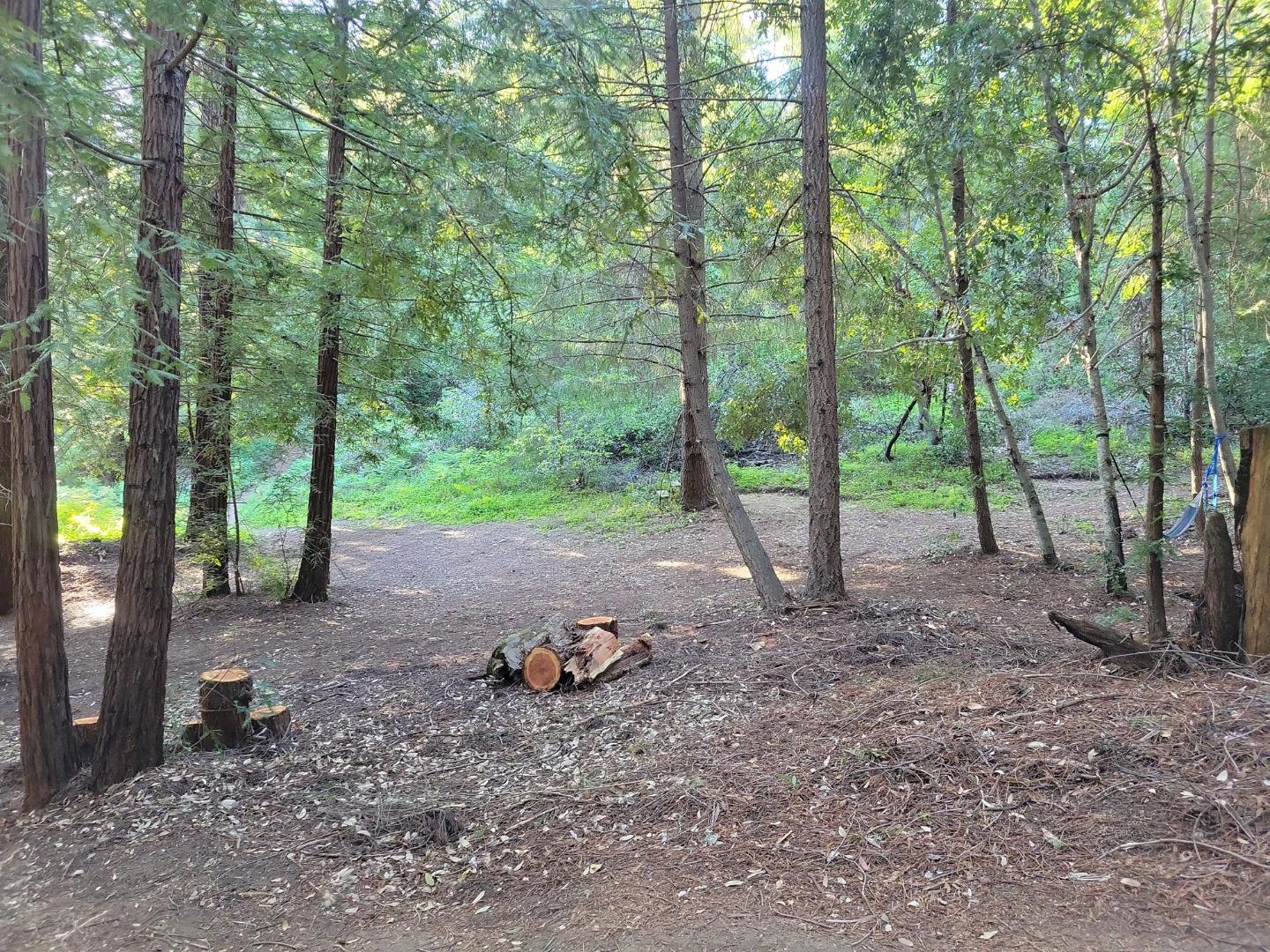 Lot 58 Skyview Ridge Road Boulder Creek, CA 95006 - Photo 44 of 52 a view of a forest with trees in the background