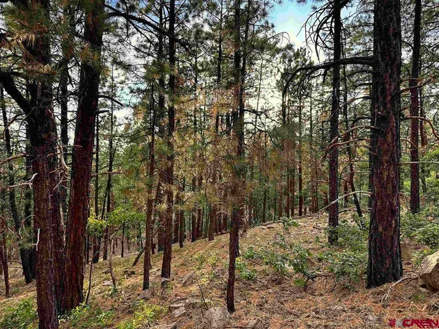 a view of outdoor space