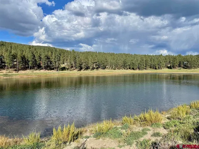 a view of a lake with a city
