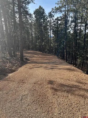 a view of backyard space and trees