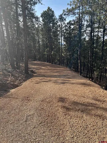 a view of backyard space and trees