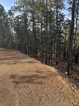 a backyard of a house with trees and outdoor space