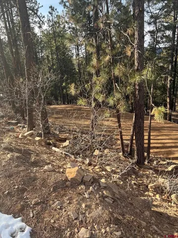 a view of a tree with a yard