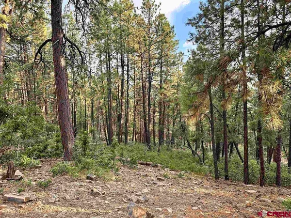 a view of outdoor space with lots of trees