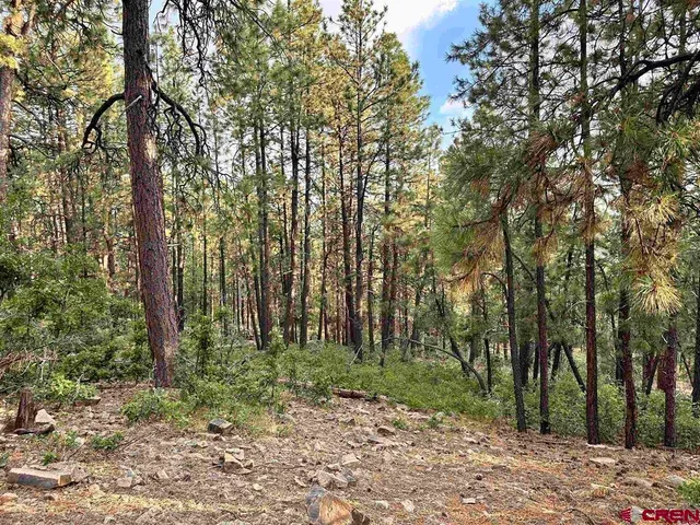 a view of outdoor space with lots of trees