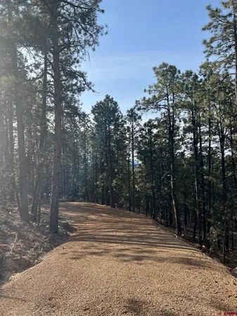 a view of backyard space