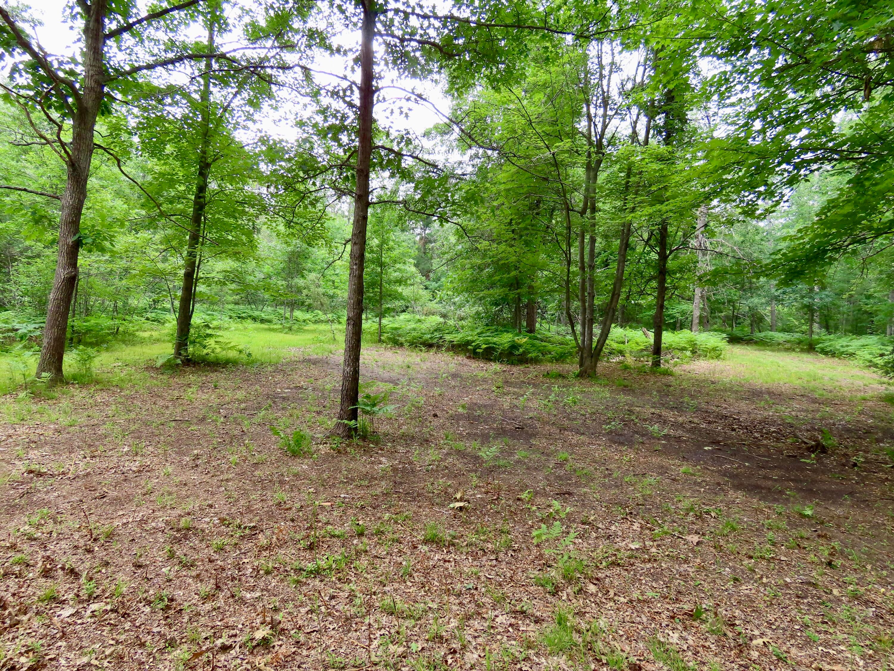 12775 Kohlman Road Atlanta, MI 49709 - Photo 59 of 61 Gallery Image 59