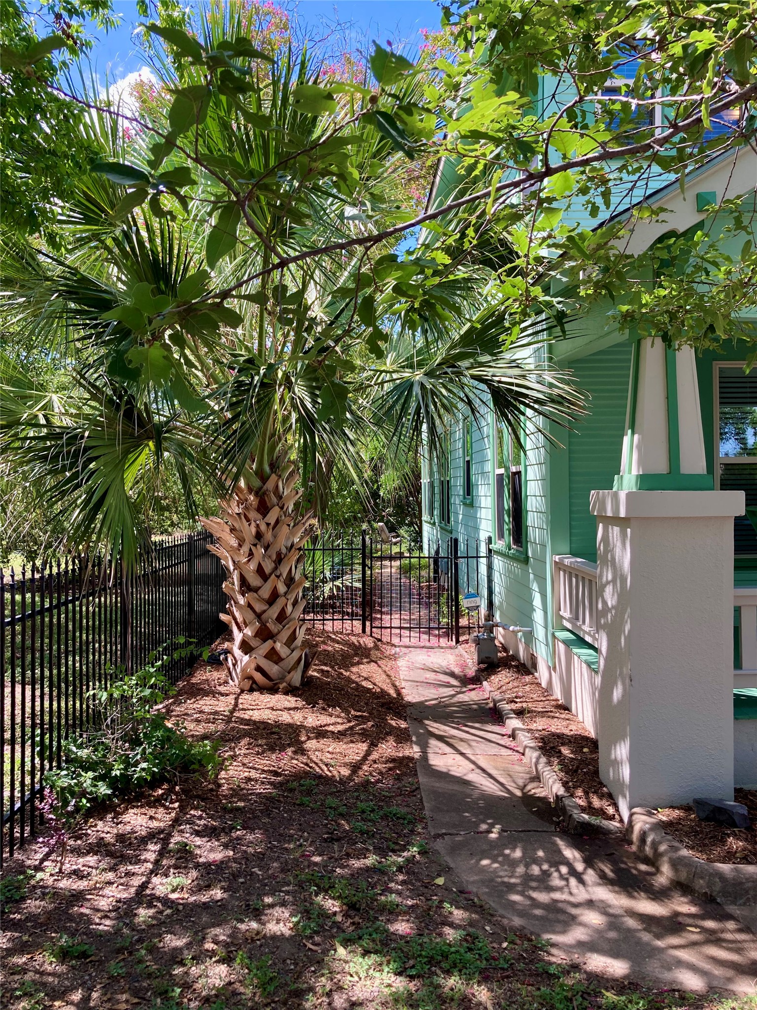 903 East 14th Street Austin, TX 78702 - Photo 28 of 31 Lush vegetation throughout, including this side walkway