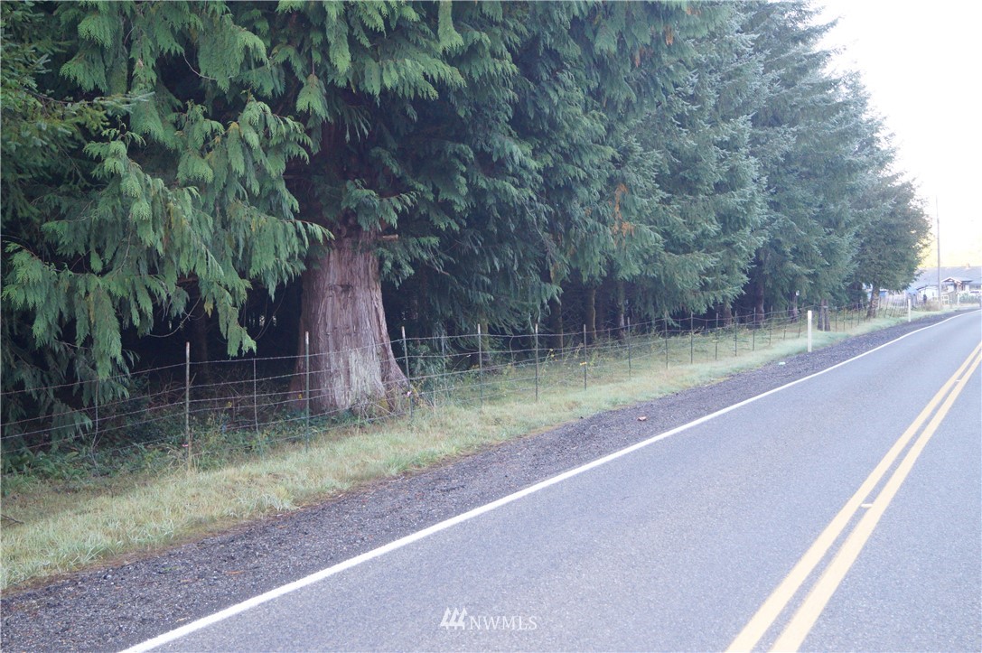 -xx Mox Chehalis Road Elma, WA 98541 - Photo 1 of 11 Gallery Image 1