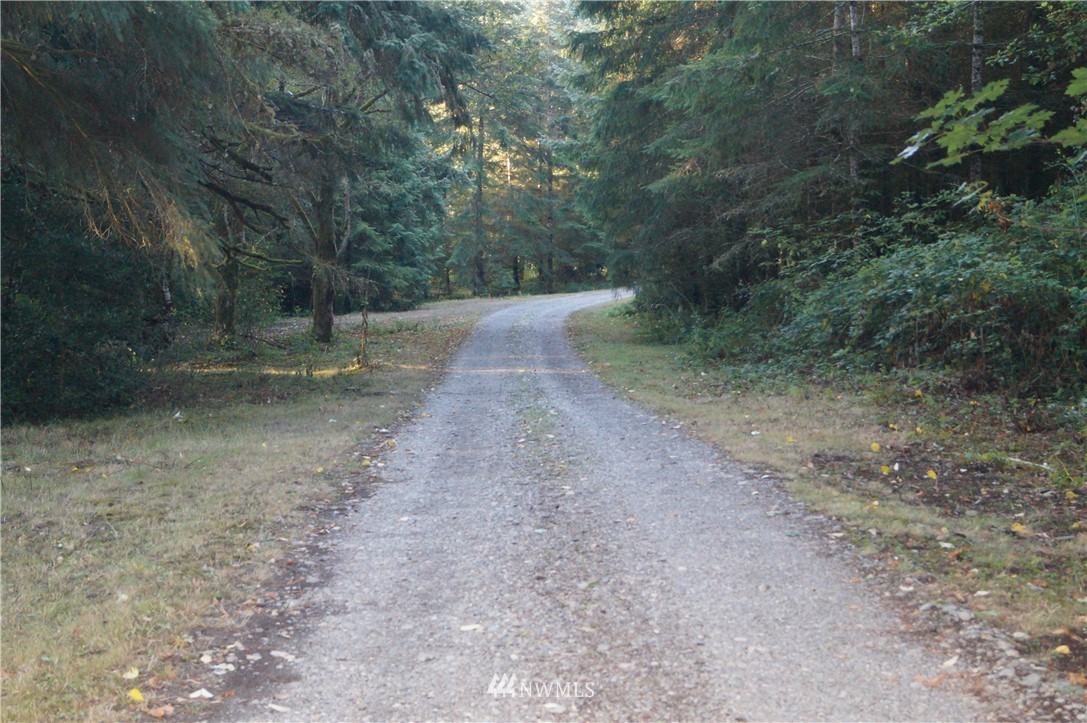 -xx Mox Chehalis Road Elma, WA 98541 - Photo 3 of 11 Gallery Image 3
