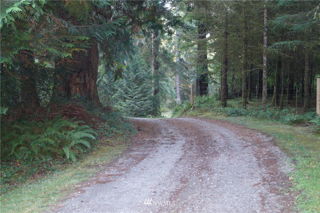 -xx Mox Chehalis Road Elma, WA 98541 - Photo 6 of 11 Gallery Image 6