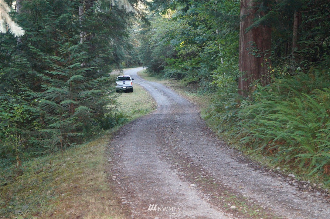 -xx Mox Chehalis Road Elma, WA 98541 - Photo 8 of 11 Gallery Image 8