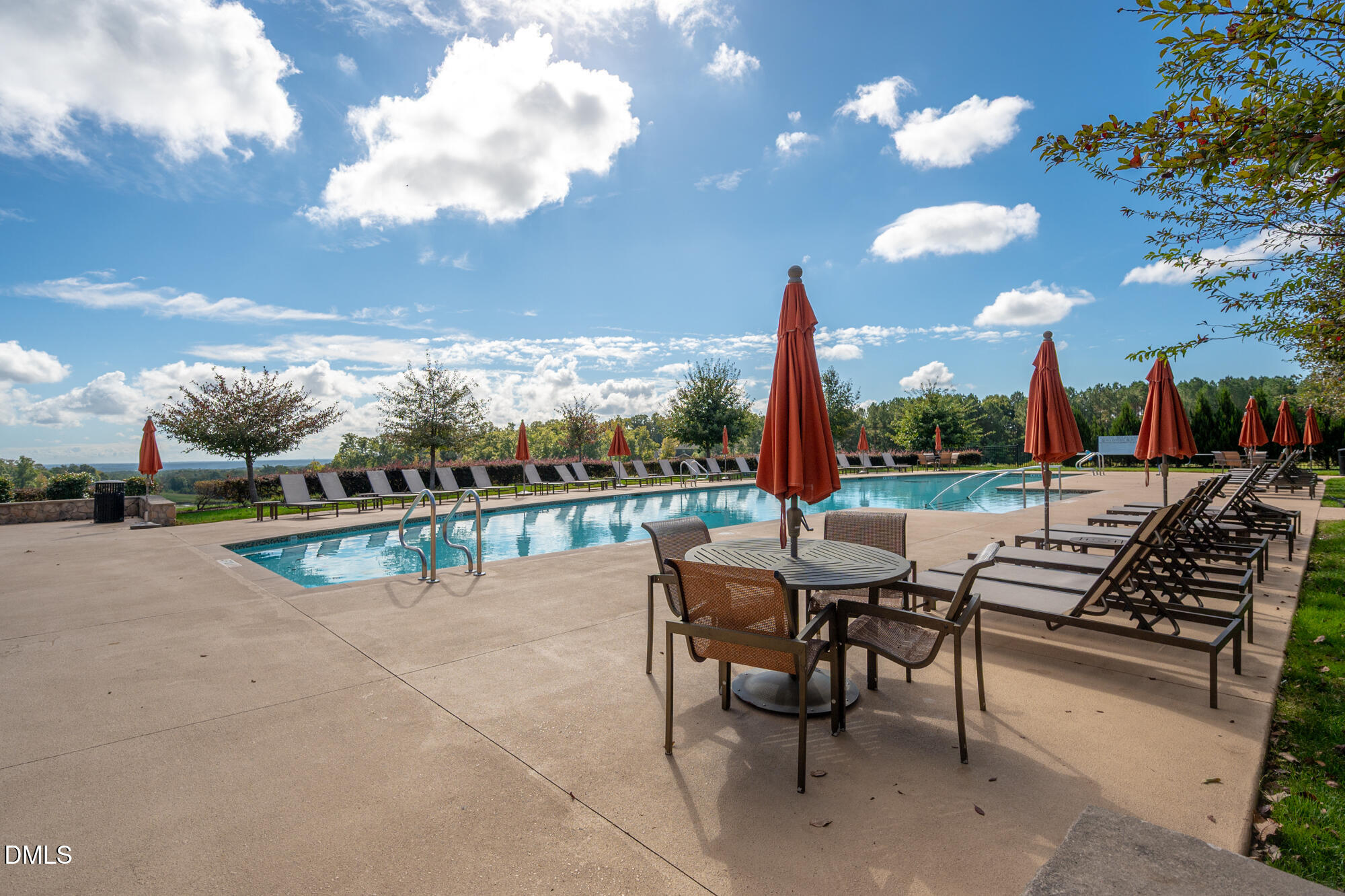 319 High Woods Ridge Chapel Hill, NC 27517 - Photo 54 of 71 Legacy Pool