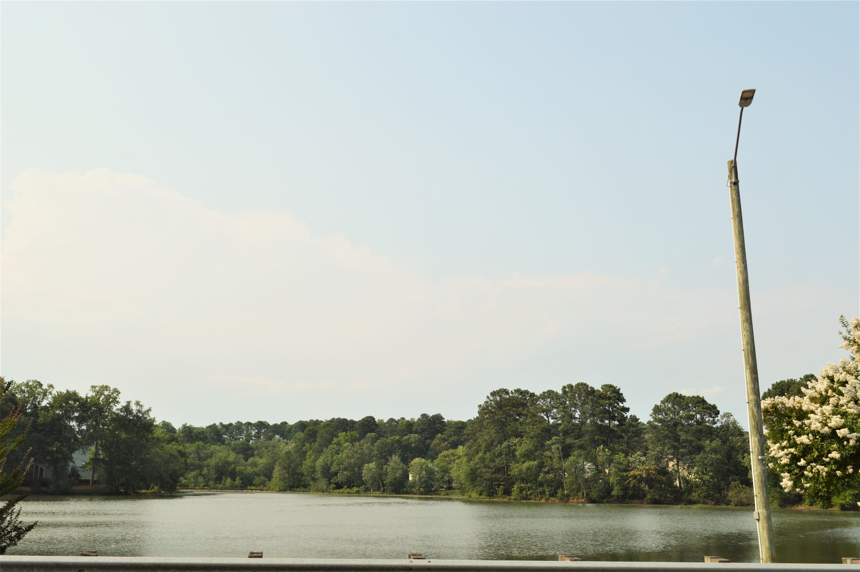 4965 Royal Adelaide Way Raleigh, NC 27604 - Photo 39 of 41 Foxcroft Lake in Hedingham