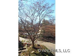 75 Maple Ridge Lane Asheville, NC 28806 - Photo 11 of 13 Gallery Image 11
