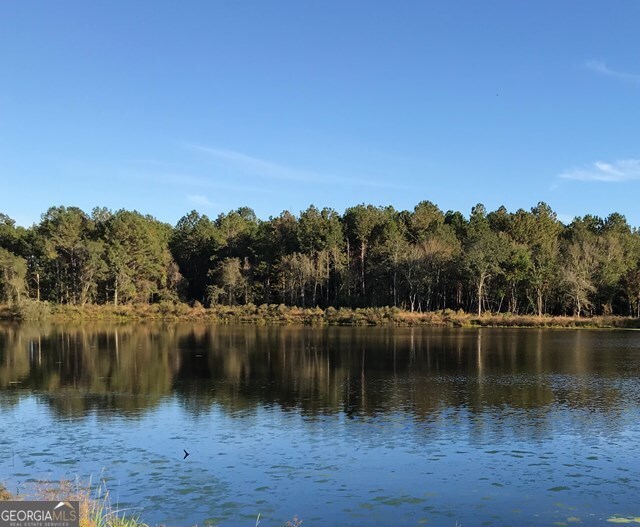 0 Bill Quarterman Road Hazlehurst, GA 31539 - Photo 1 of 1 Main View