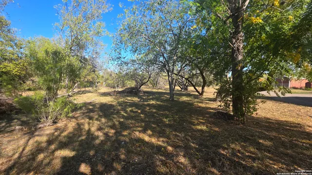 a view of outdoor space with trees