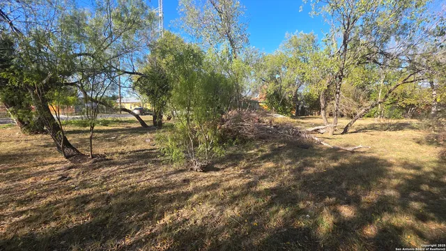 a view of a yard with plants and trees