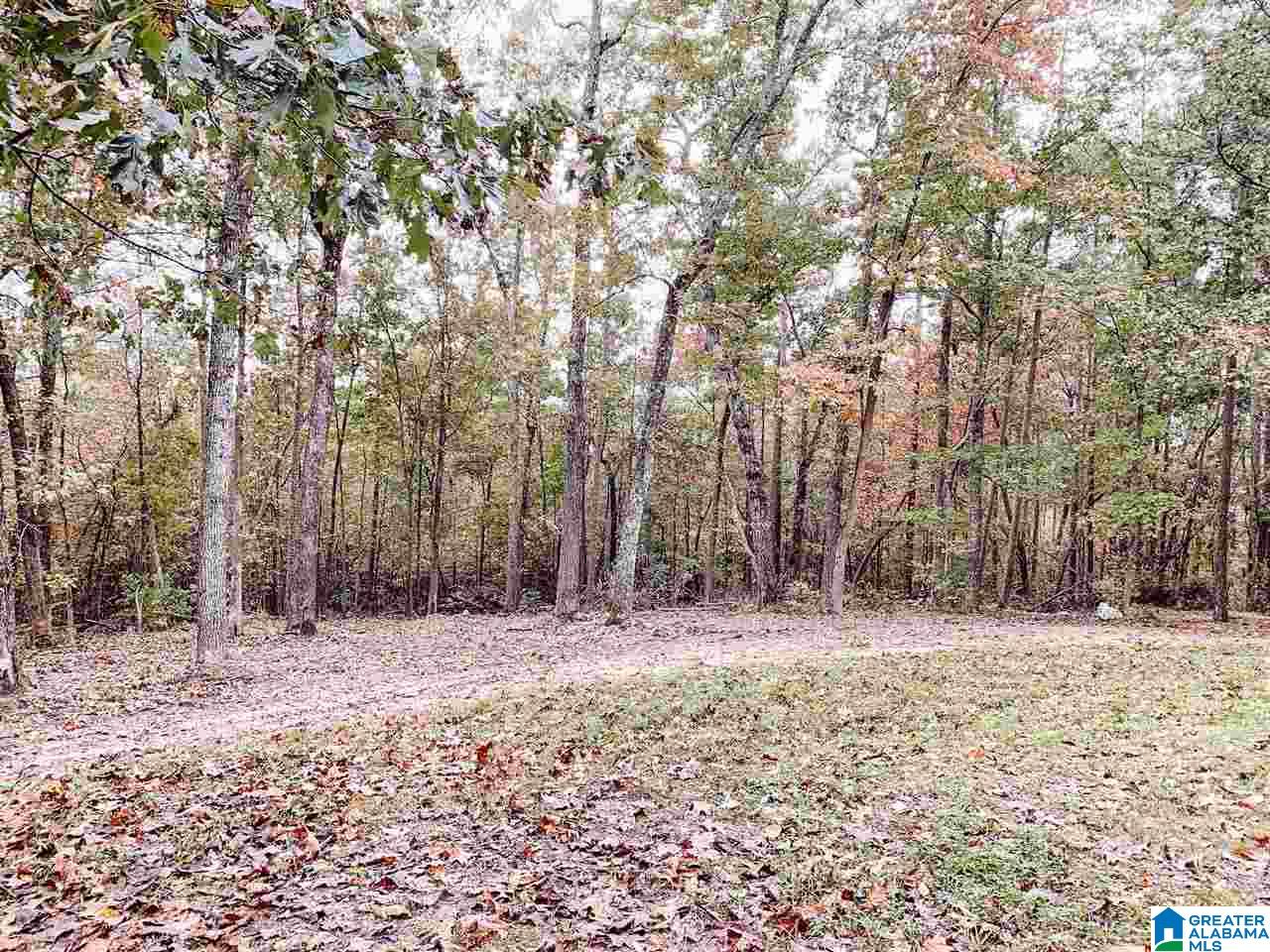 281 Colvin Springs Road Ashville, AL 35953 - Photo 5 of 34