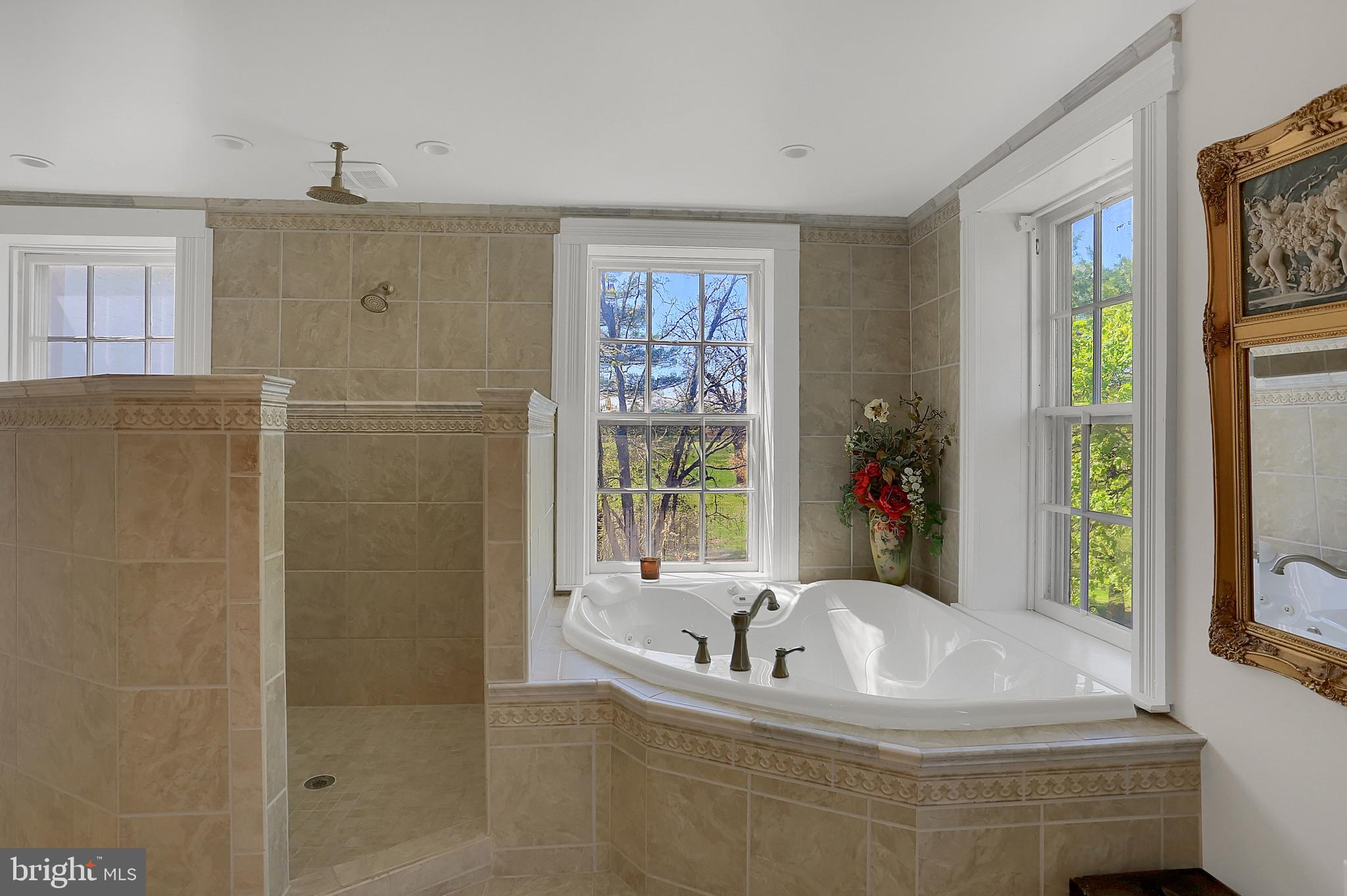 5635 Elizabethtown Road Hershey, PA 17033 - Photo 57 of 71 Master Bath Tub and Shower