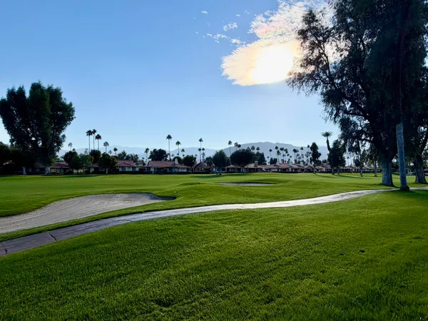 a view of field with tall trees
