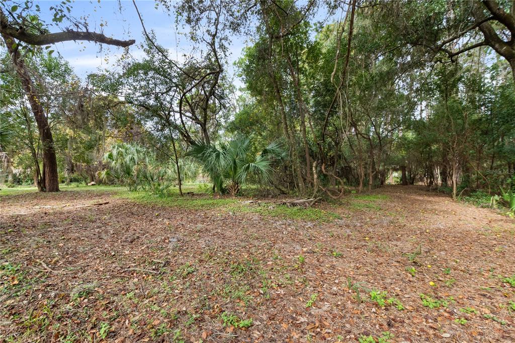 2373 Keystone Road Tarpon Springs, FL 34688 - Photo 10 of 29 Gallery Image 10
