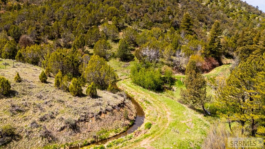 Tbd Fish Creek Road Lava Hot Springs, ID 83246 - Photo 19 of 22