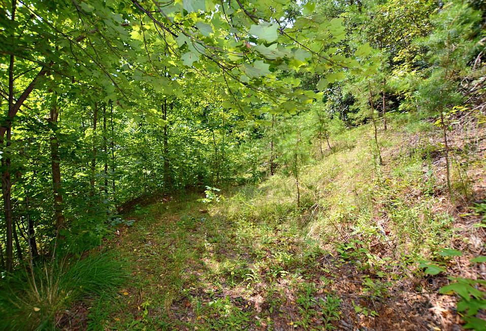 Lot 68 Big Bear Ridge Road Gatlinburg, TN 37738 - Photo 8 of 14 I