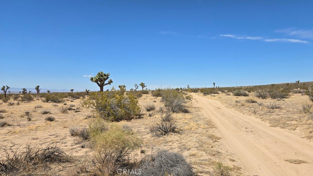 0 147th Street Lancaster, CA 93535 - Photo 15 of 21 a view of a sky