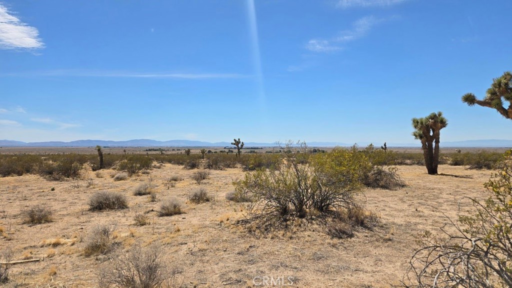 0 147th Street Lancaster, CA 93535 - Photo 7 of 21 a view of a beach with a snow in the background