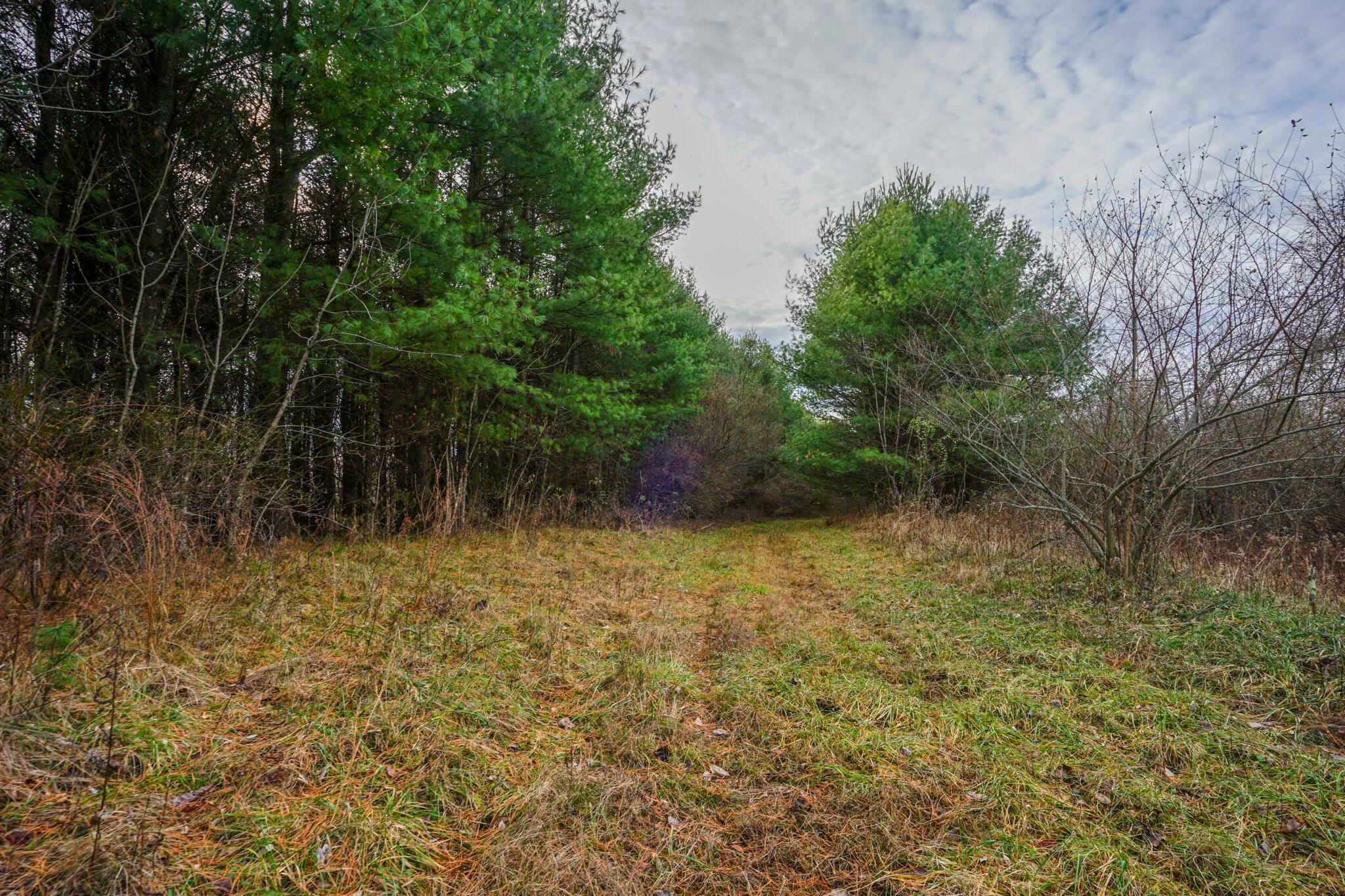 0 Fogle Road Caldwell, OH 43724 - Photo 10 of 42 DSC09893