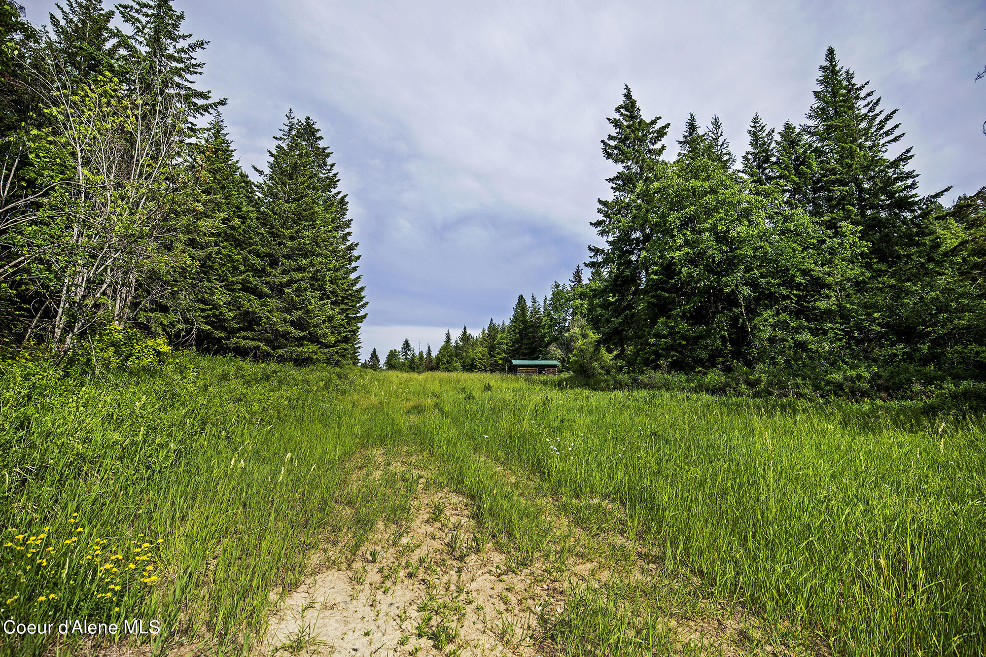 139 Two Tail Road Bonners Ferry, ID 83805 - Photo 5 of 15 TwoTailLOT_06