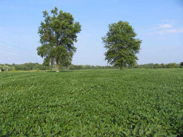 7133 Gale Road Southwest Hebron, OH 43025 - Photo 1 of 5