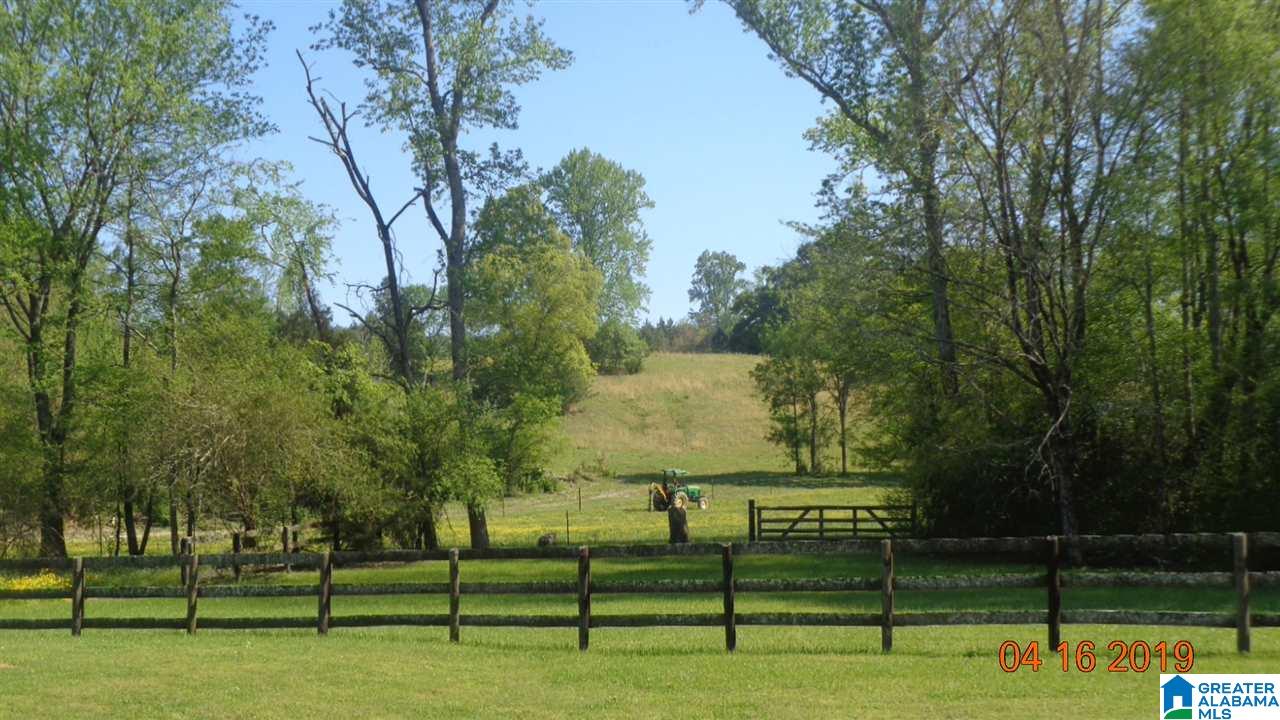 10135 Ford Valley Road Gadsden, AL 35905 - Photo 24 of 25
