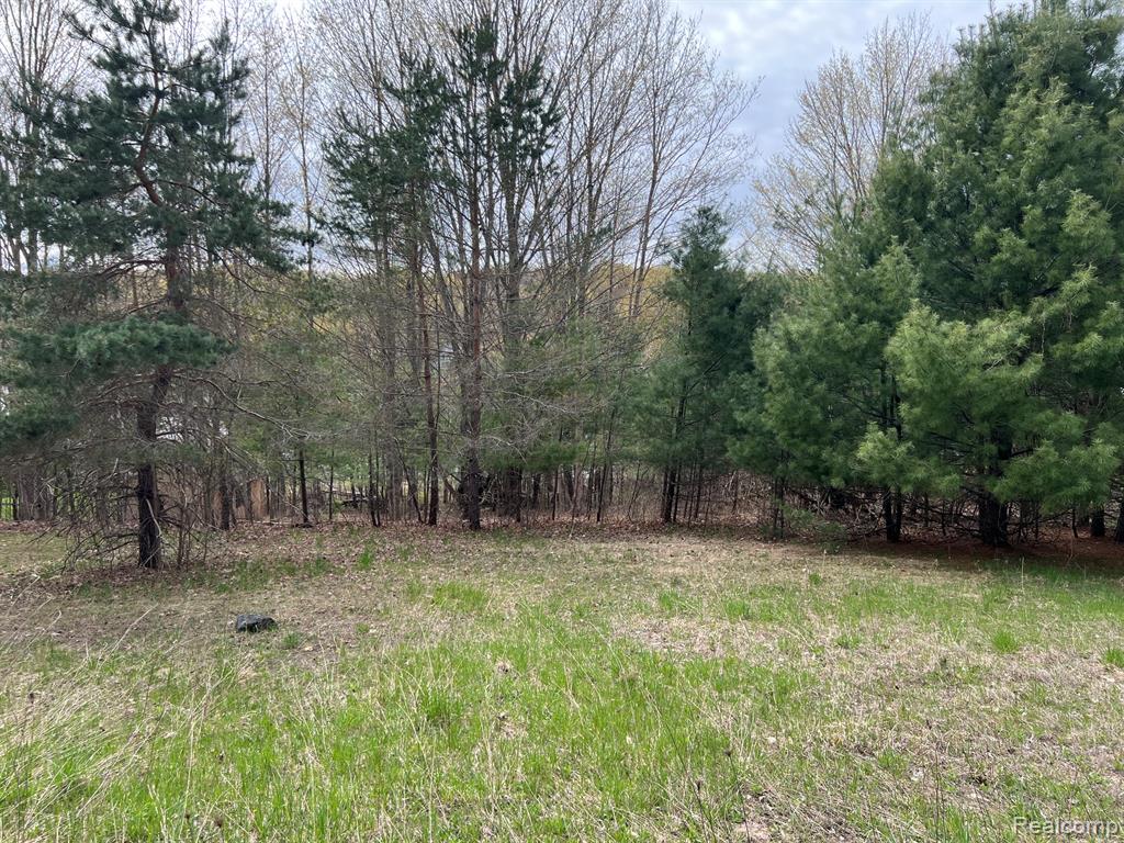 2903 Rushton Road Central Lake, MI 49622 - Photo 2 of 15