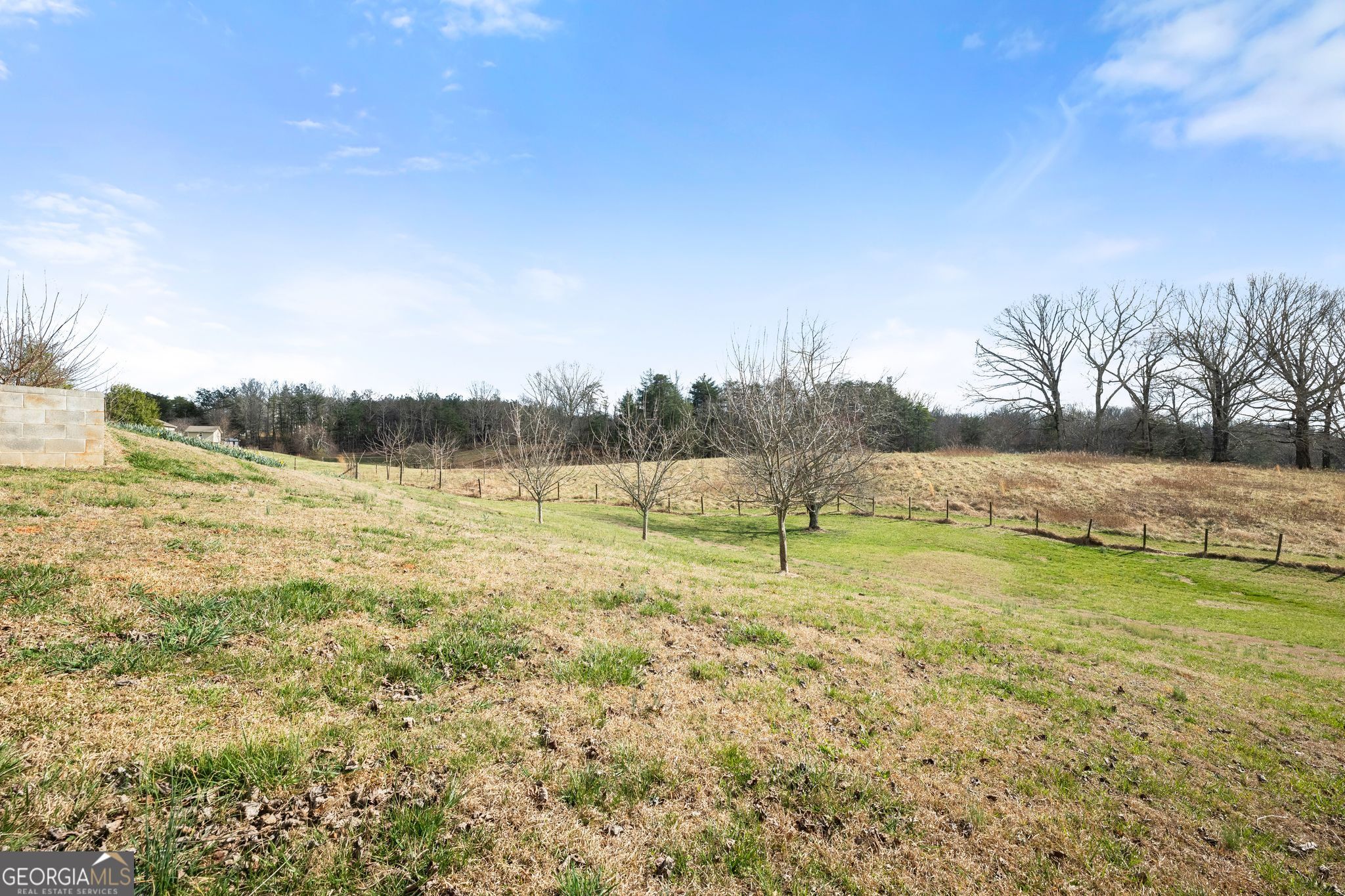 3443 Tesnatee Gap Valley Road Cleveland, GA 30528 - Photo 42 of 49