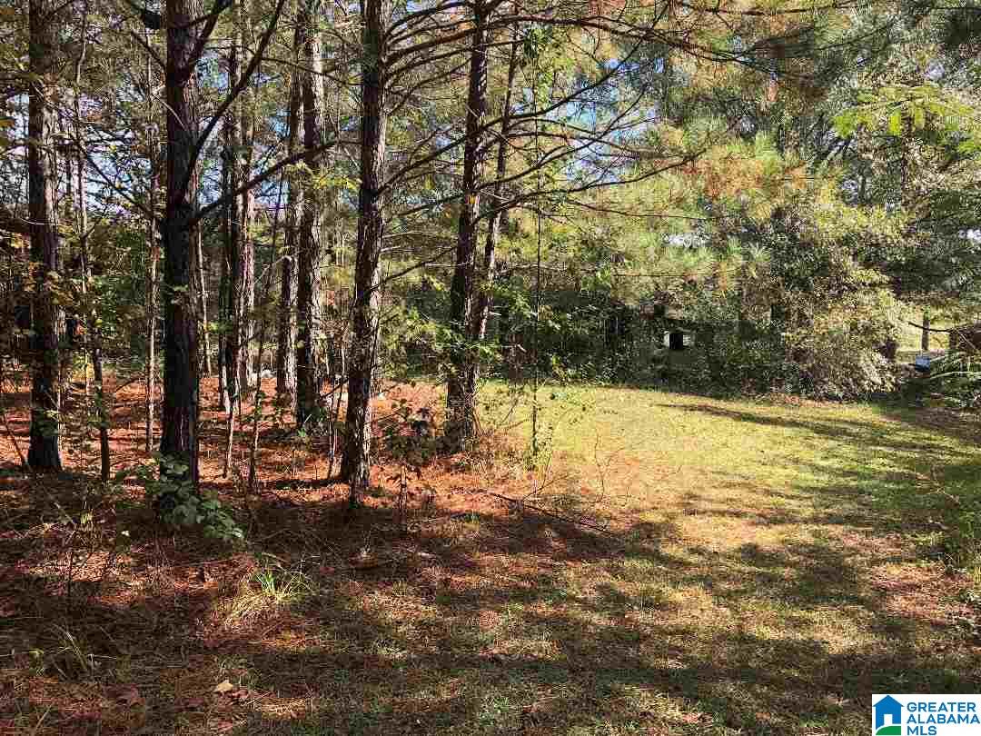 980 Turner Road, Unit ADJOINING PARCELS Anniston, AL 36201 - Photo 7 of 17