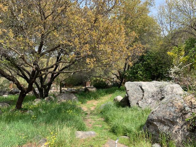 44291 North Fork Drive Three Rivers, CA 93271 - Photo 68 of 75 IMG_5087(1)