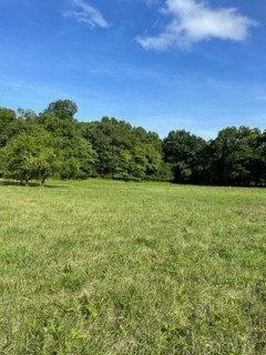 1234 Carter Branch Road Hartsville, TN 37074 - Photo 4 of 12 Gallery Image 4