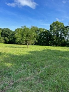 1234 Carter Branch Road Hartsville, TN 37074 - Photo 5 of 12 Gallery Image 5