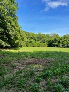 1234 Carter Branch Road Hartsville, TN 37074 - Photo 6 of 12 Gallery Image 6