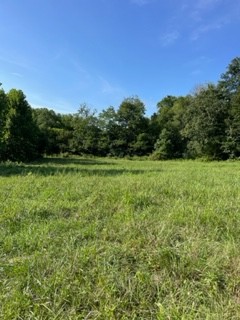 1234 Carter Branch Road Hartsville, TN 37074 - Photo 9 of 12 Gallery Image 9