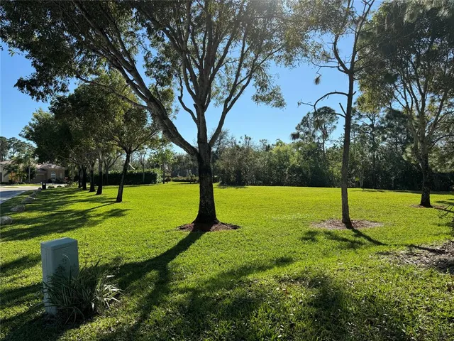 a view of a park with large trees