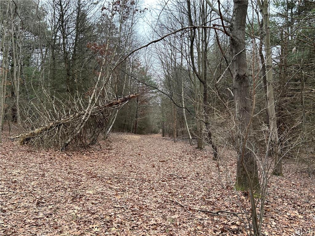 Lot Weir Weir Mountain Road Kunkletown, PA 18058 - Photo 1 of 8