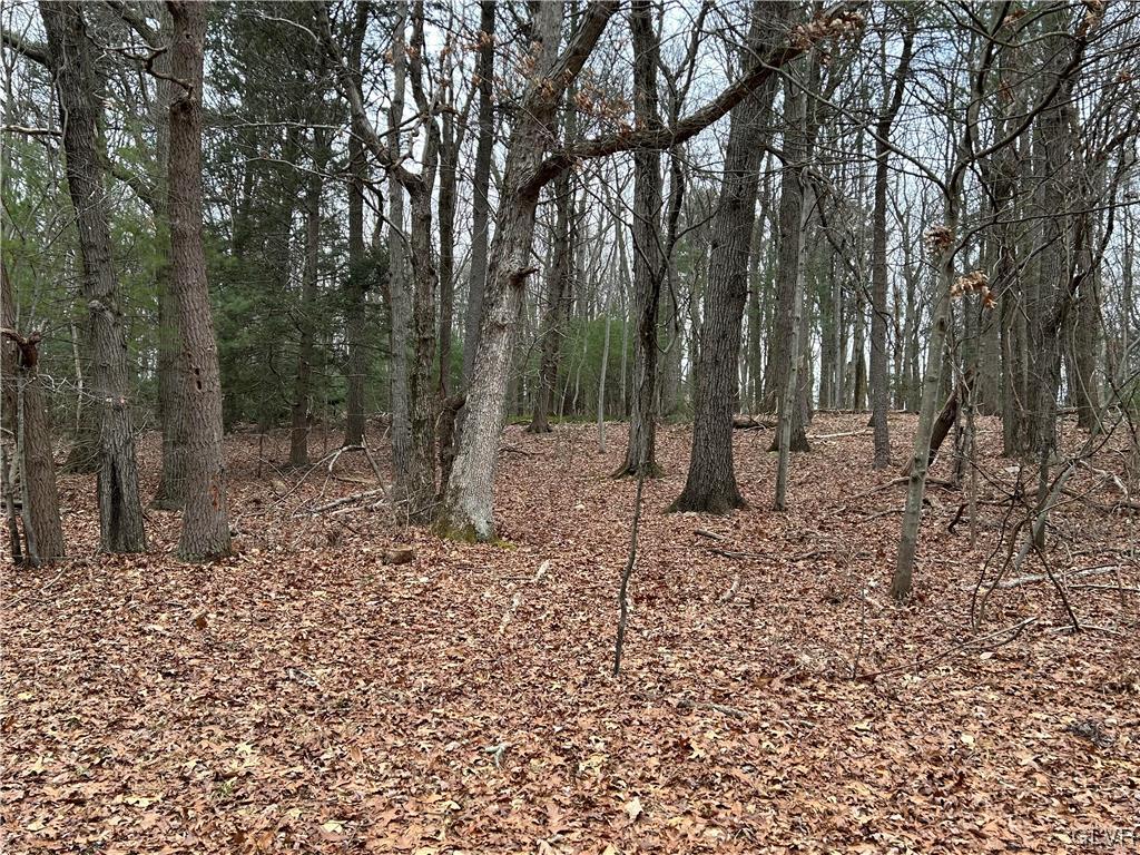 Lot Weir Weir Mountain Road Kunkletown, PA 18058 - Photo 2 of 8