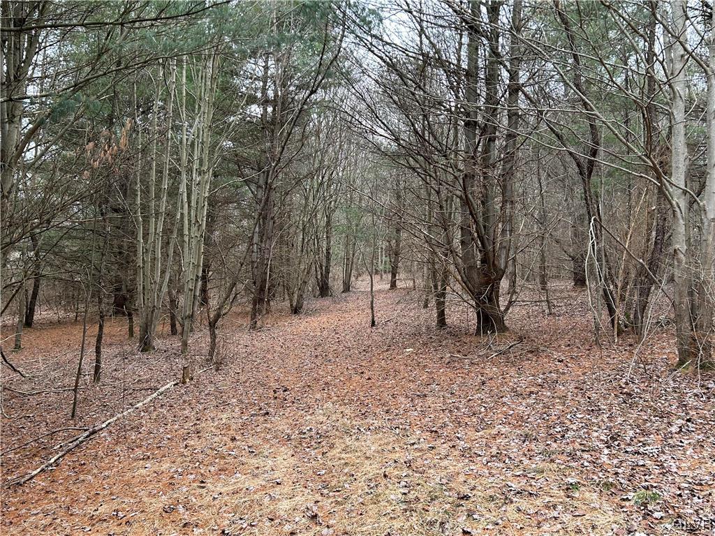 Lot Weir Weir Mountain Road Kunkletown, PA 18058 - Photo 3 of 8