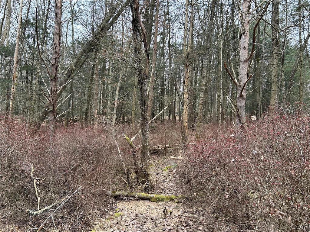 Lot Weir Weir Mountain Road Kunkletown, PA 18058 - Photo 4 of 8